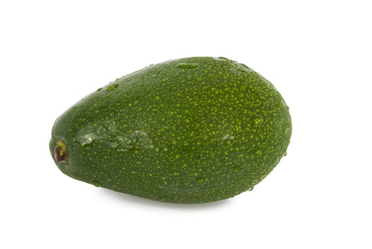 Avocado.