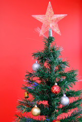 Holidays - Photo of a Tree Symbol of Christmas .