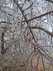 Ice - freezing rain