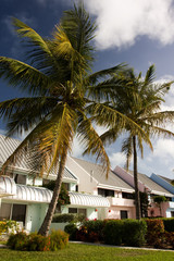 Fototapeta na wymiar hotel cottages in tropical resort with palm trees