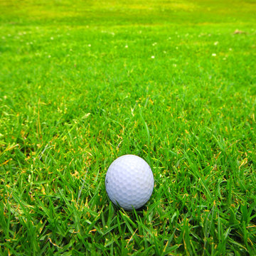 Close-up of golfball on fairway