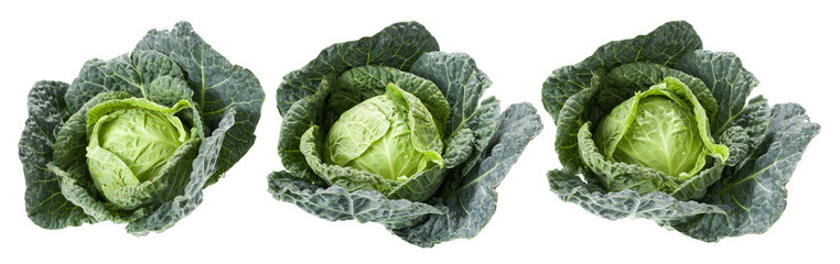 Three savoy cabbages isolated on a white background