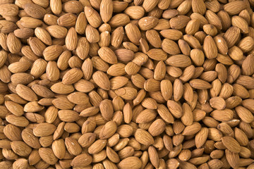 Textured background of shelled almonds