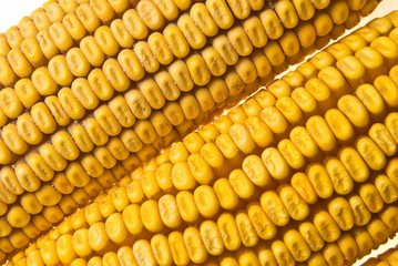 Yellow Corncob isolated on white