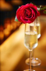 red roses and glass of champagne