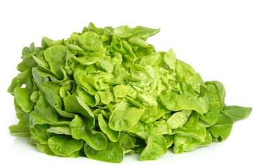 salade feuille de chêne isolée sur un arrière plan blanc