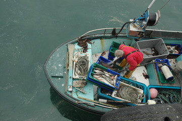 Fototapeta na wymiar Retour de pêche en Bretagne