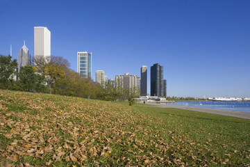 Fototapeta premium Autumn in Chicago