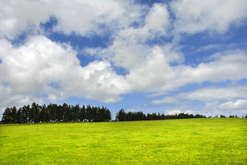 Fototapeta premium azores green fields at s miguel island