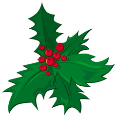 mistletoe, vector