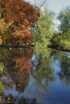 riflessi nell'acqua