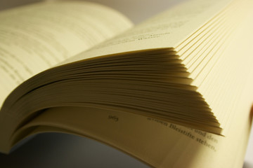 Aufgeschlagenes Buch