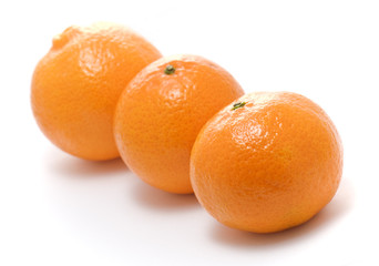 Tangerines on white background