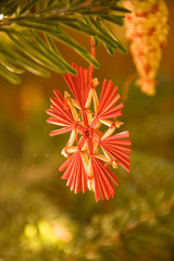 Christmas straw decoration