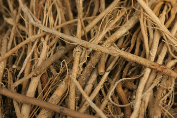 Stacked twigs