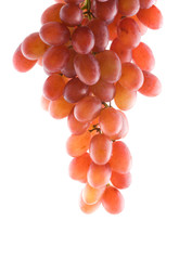 Grapes. Isolation on white