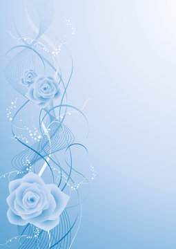 Blue rose bacground, vector illustration