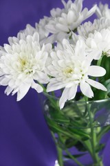 Home decoration: flowers
