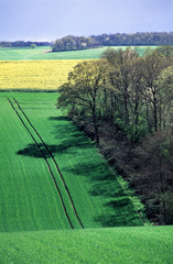 les traces du tracteur