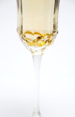 Heart Rings in Champagne