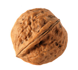 Walnut. 