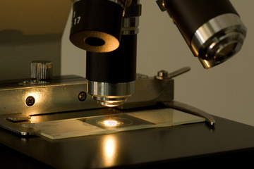 Microscope