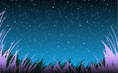 Fototapeta na wymiar Grass Under Stars