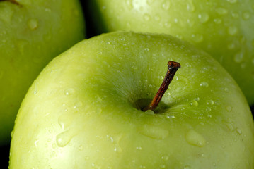 Closeup on three fresh green apples with water drops