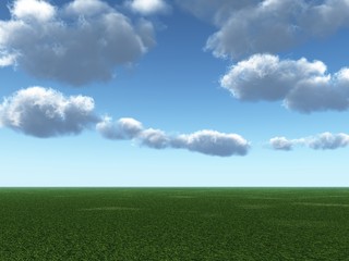 The green field and beautiful white clouds - digital artwork