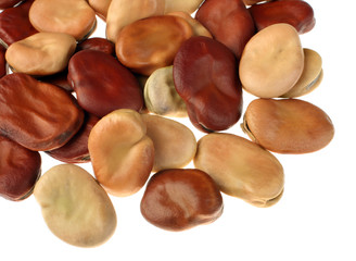 Brown dry bean isolated on white background