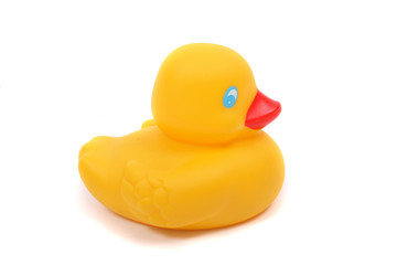 yelow duck