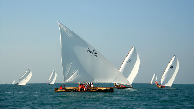 Competing Sailing Dhows In The Middle East
