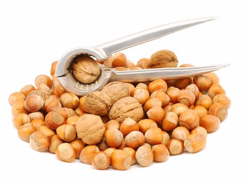 Walnuts and hazelnuts with nutcracker isolated over white