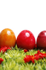 Ostern, Ostereier auf Wiese