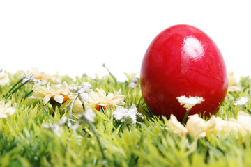 Ostern, Osterei auf Wiese