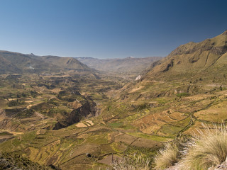 Panoramic view of the Colca Canyon. Peru