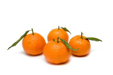 Tangerines