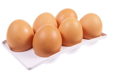 six eggs in egg holder isolated on white