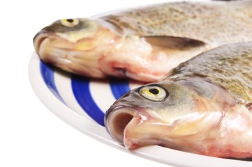 two dead fishes on plate isolated on white