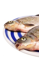 dead fishes on plate isolated on white