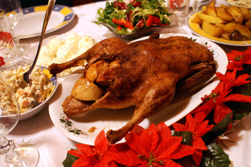 christmas turkey