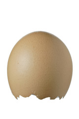 Empty eggshell against white background