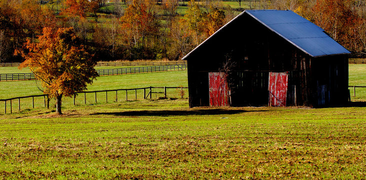 Nice image of a rural barn in horse country