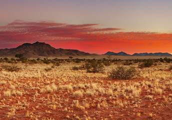 Colorful sunset in Kalahari Desert, Namibia - obrazy, fototapety, plakaty