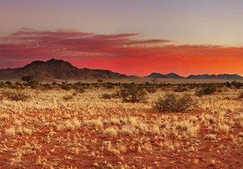 Foto auf Acrylglas Bunter Sonnenuntergang in der Kalahari-Wüste, Namibia © Dmitry Pichugin