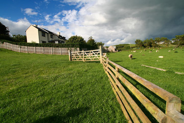 welsh farm