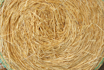 a big round bale of yellow straw for stock feed