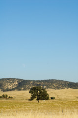 Obraz premium Outside