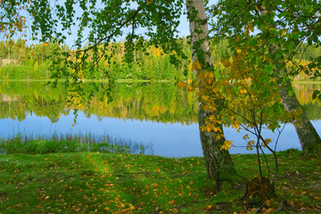 Fototapety  Brzeg pięknego jeziora. Finlandia (3)