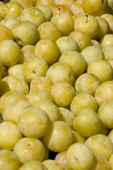 Prunes de variété mirabelle